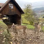 Einzigartiges Apartment, Mitten In Der Apartamento Ottenhofen im Schwarzwald