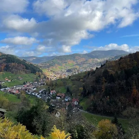 Appartamento Einzigartiges Apartment, Mitten In Der Ottenhofen im Schwarzwald